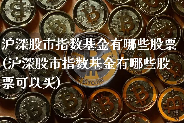 沪深股市指数基金有哪些股票(沪深股市指数基金有哪些股票可以买)_https://www.czytfl.com_期货_第1张