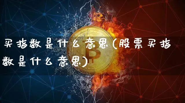 买指数是什么意思(股票买指数是什么意思)_https://www.czytfl.com_期货走势_第1张