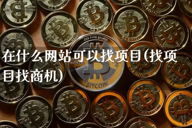 在什么网站可以找项目(找项目找商机)_https://www.czytfl.com_期货走势_第1张