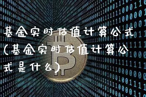 基金实时估值计算公式(基金实时估值计算公式是什么)_https://www.czytfl.com_期货价格_第1张