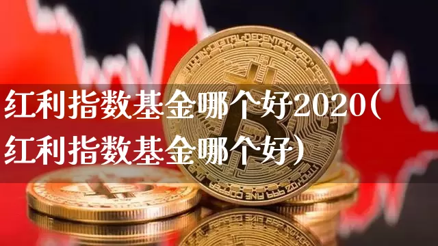 红利指数基金哪个好2020(红利指数基金哪个好)_https://www.czytfl.com_期货_第1张
