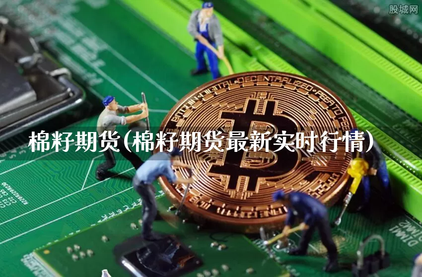 棉籽期货(棉籽期货最新实时行情)_https://www.czytfl.com_期货行情_第1张