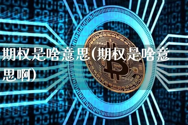期权是啥意思(期权是啥意思啊)_https://www.czytfl.com_期货走势_第1张