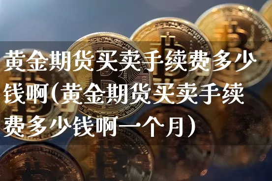 黄金期货买卖手续费多少钱啊(黄金期货买卖手续费多少钱啊一个月)_https://www.czytfl.com_期货价格_第1张