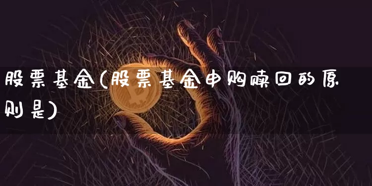 股票基金(股票基金申购赎回的原则是)_https://www.czytfl.com_期货价格_第1张