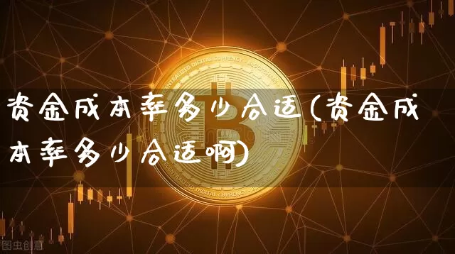 资金成本率多少合适(资金成本率多少合适啊)_https://www.czytfl.com_期货价格_第1张