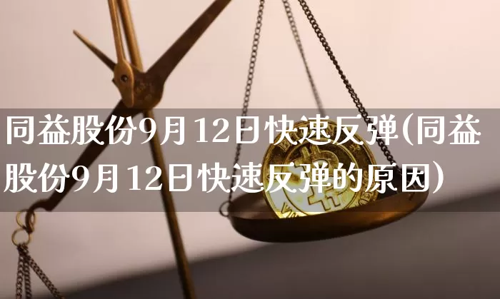 同益股份9月12日快速反弹(同益股份9月12日快速反弹的原因)_https://www.czytfl.com_期货行情_第1张