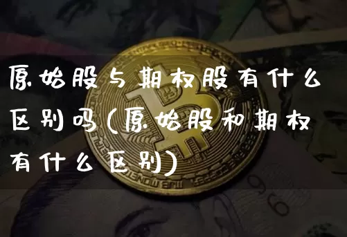 原始股与期权股有什么区别吗(原始股和期权有什么区别)_https://www.czytfl.com_期货_第1张