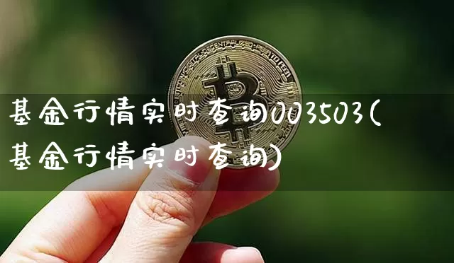 基金行情实时查询003503(基金行情实时查询)_https://www.czytfl.com_期货走势_第1张