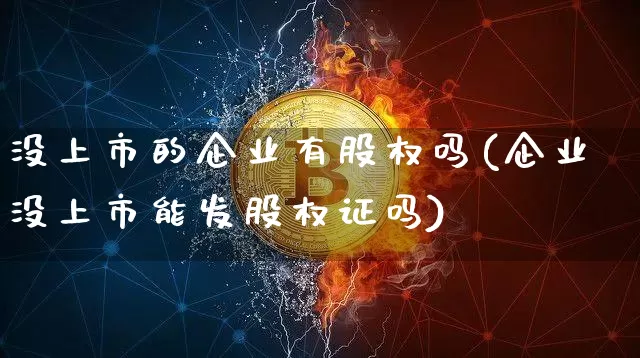 没上市的企业有股权吗(企业没上市能发股权证吗)_https://www.czytfl.com_期货价格_第1张