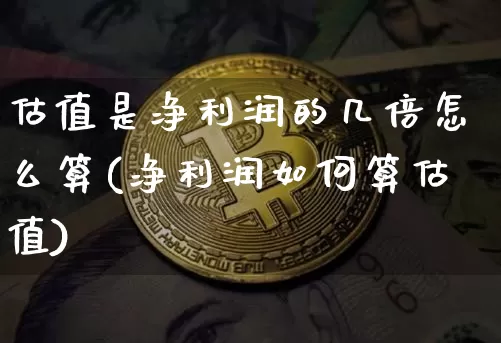 估值是净利润的几倍怎么算(净利润如何算估值)_https://www.czytfl.com_期货_第1张