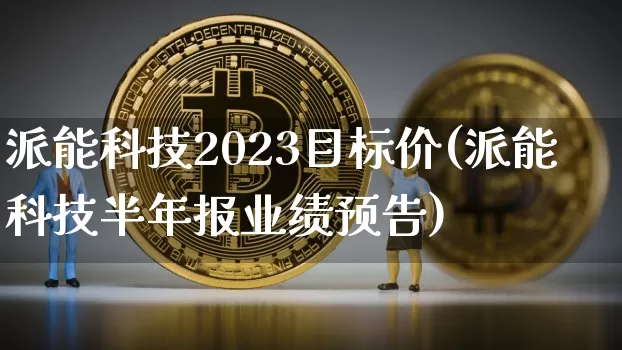 派能科技2023目标价(派能科技半年报业绩预告)_https://www.czytfl.com_期货走势_第1张