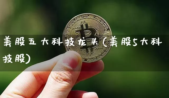 美股五大科技龙头(美股5大科技股)_https://www.czytfl.com_期货_第1张