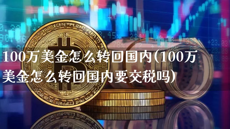 100万美金怎么转回国内(100万美金怎么转回国内要交税吗)_https://www.czytfl.com_期货价格_第1张