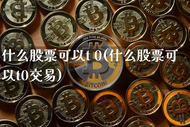 什么股票可以t 0(什么股票可以t0交易)_https://www.czytfl.com_期货价格_第1张