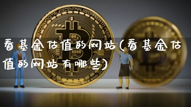 看基金估值的网站(看基金估值的网站有哪些)_https://www.czytfl.com_期货走势_第1张