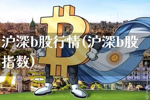沪深b股行情(沪深b股指数)_https://www.czytfl.com_期货价格_第1张