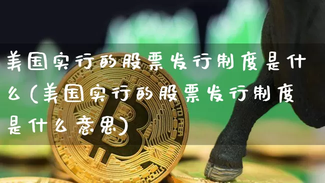 美国实行的股票发行制度是什么(美国实行的股票发行制度是什么意思)_https://www.czytfl.com_期货价格_第1张