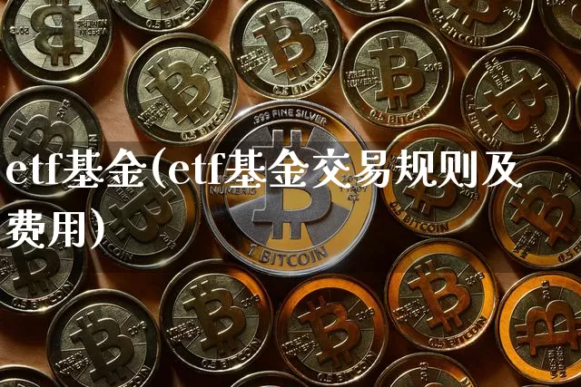 etf基金(etf基金交易规则及费用)_https://www.czytfl.com_期货走势_第1张