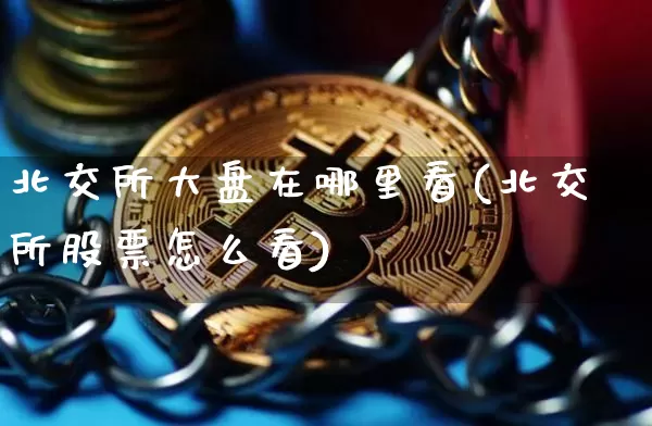 北交所大盘在哪里看(北交所股票怎么看)_https://www.czytfl.com_期货走势_第1张