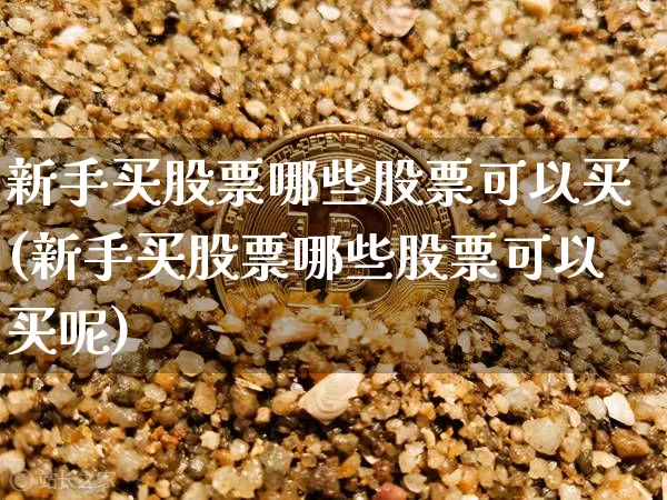新手买股票哪些股票可以买(新手买股票哪些股票可以买呢)_https://www.czytfl.com_期货_第1张