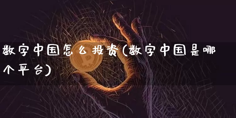 数字中国怎么投资(数字中国是哪个平台)_https://www.czytfl.com_期货走势_第1张