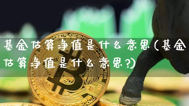 基金估算净值是什么意思(基金估算净值是什么意思?)_https://www.czytfl.com_期货_第1张