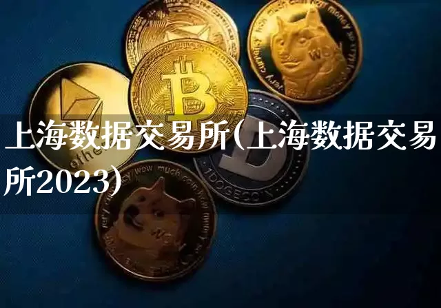 上海数据交易所(上海数据交易所2023)_https://www.czytfl.com_期货行情_第1张