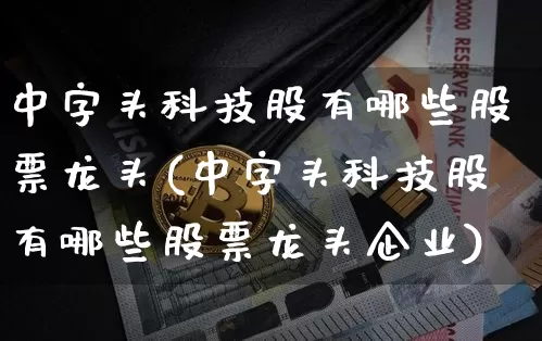 中字头科技股有哪些股票龙头(中字头科技股有哪些股票龙头企业)_https://www.czytfl.com_期货走势_第1张
