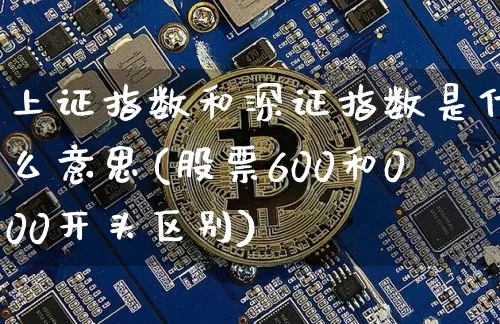 上证指数和深证指数是什么意思(股票600和000开头区别)_https://www.czytfl.com_期货价格_第1张