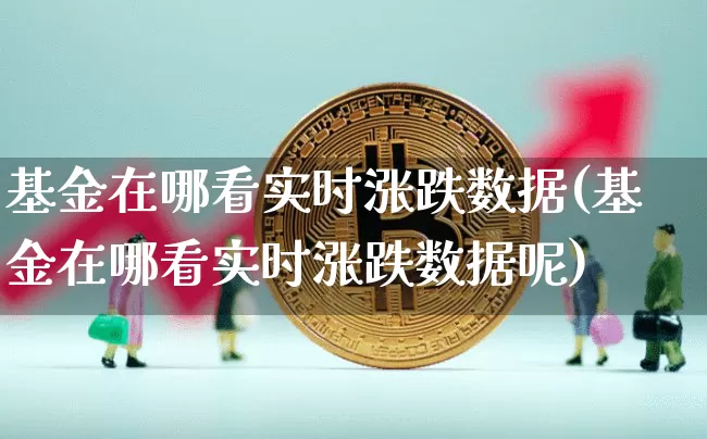基金在哪看实时涨跌数据(基金在哪看实时涨跌数据呢)_https://www.czytfl.com_期货走势_第1张