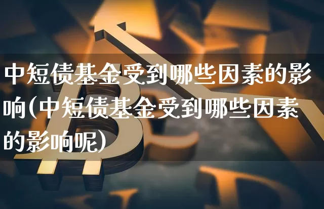 中短债基金受到哪些因素的影响(中短债基金受到哪些因素的影响呢)_https://www.czytfl.com_期货价格_第1张