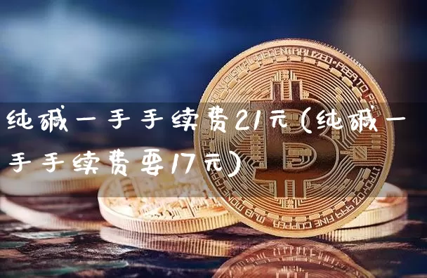 纯碱一手手续费21元(纯碱一手手续费要17元)_https://www.czytfl.com_期货行情_第1张