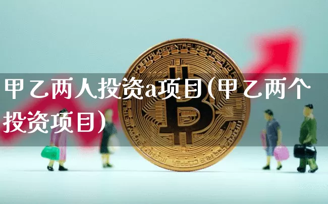 甲乙两人投资a项目(甲乙两个投资项目)_https://www.czytfl.com_期货价格_第1张