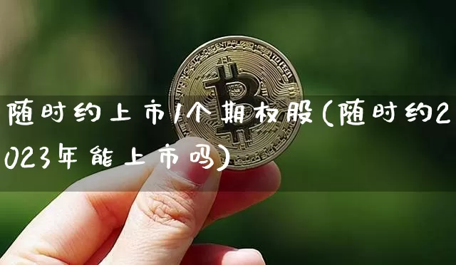 随时约上市1个期权股(随时约2023年能上市吗)_https://www.czytfl.com_期货走势_第1张