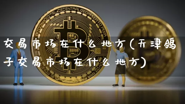 交易市场在什么地方(天津鸽子交易市场在什么地方)_https://www.czytfl.com_期货走势_第1张
