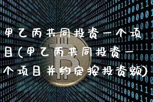 甲乙丙共同投资一个项目(甲乙丙共同投资一个项目并约定按投资额)_https://www.czytfl.com_期货_第1张