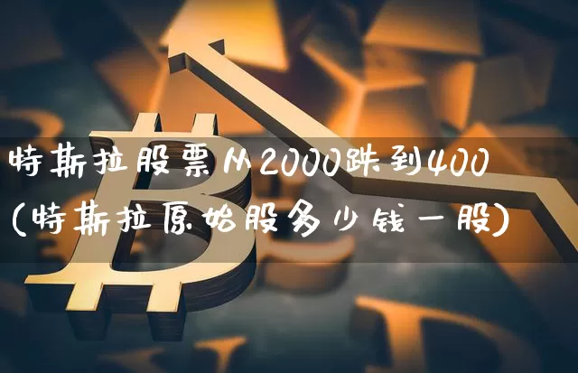 特斯拉股票从2000跌到400(特斯拉原始股多少钱一股)_https://www.czytfl.com_期货走势_第1张