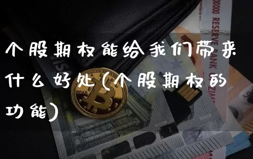 个股期权能给我们带来什么好处(个股期权的功能)_https://www.czytfl.com_期货价格_第1张