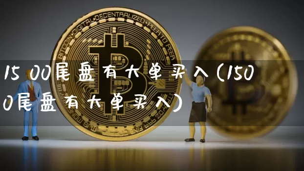 15 00尾盘有大单买入(1500尾盘有大单买入)_https://www.czytfl.com_期货走势_第1张