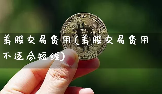 美股交易费用(美股交易费用不适合短线)_https://www.czytfl.com_期货价格_第1张