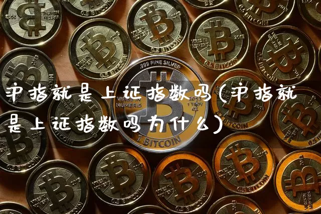 沪指就是上证指数吗(沪指就是上证指数吗为什么)_https://www.czytfl.com_期货价格_第1张
