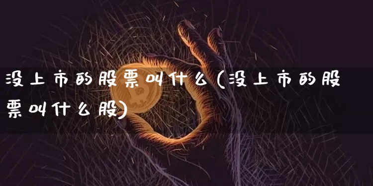 没上市的股票叫什么(没上市的股票叫什么股)_https://www.czytfl.com_期货价格_第1张