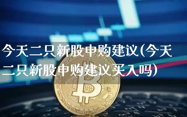 今天二只新股申购建议(今天二只新股申购建议买入吗)_https://www.czytfl.com_期货走势_第1张