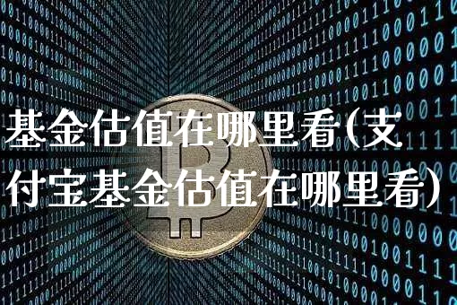 基金估值在哪里看(支付宝基金估值在哪里看)_https://www.czytfl.com_期货行情_第1张