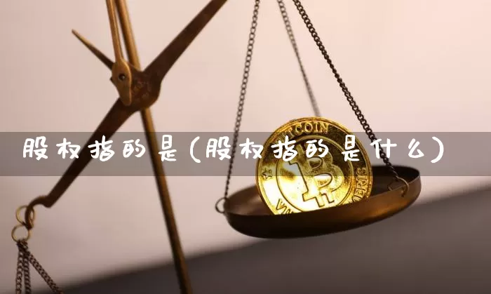 股权指的是(股权指的是什么)_https://www.czytfl.com_期货行情_第1张