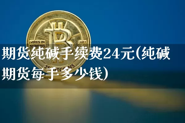 期货纯碱手续费24元(纯碱期货每手多少钱)_https://www.czytfl.com_期货价格_第1张
