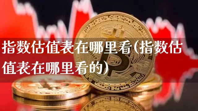 指数估值表在哪里看(指数估值表在哪里看的)_https://www.czytfl.com_期货价格_第1张