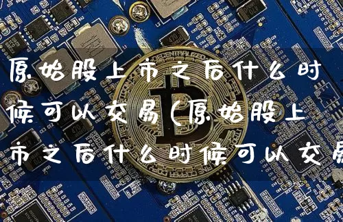 原始股上市之后什么时候可以交易(原始股上市之后什么时候可以交易啊)_https://www.czytfl.com_期货走势_第1张