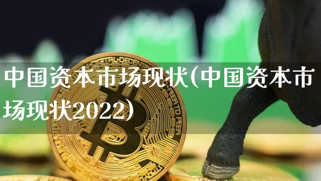 中国资本市场现状(中国资本市场现状2022)_https://www.czytfl.com_期货_第1张